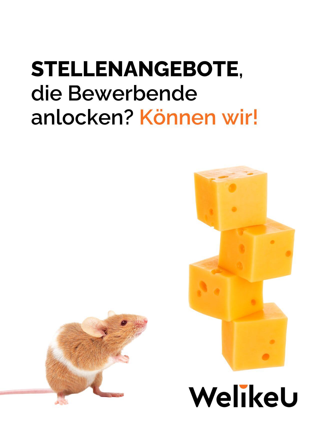 Stellenprofil-Check-Bewerbende-anlocken Stellenprofil-Check-Bewerbende-anlocken